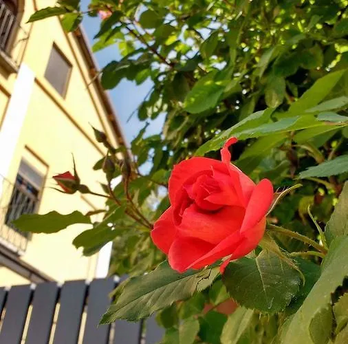 Hotel Casa Dei Frati Asti